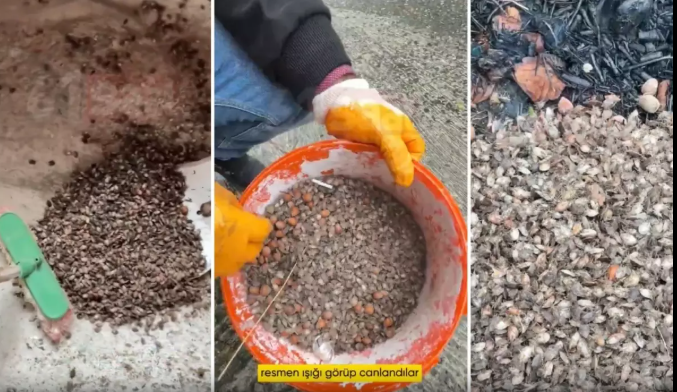 Dünyanın sonunu getirecek: Karadeniz ve Marmara’yı sardı!